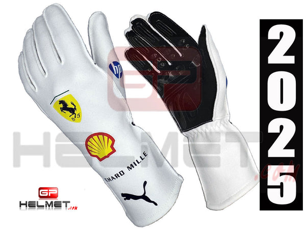 http sebastian-vettel-2017-racing-gloves-team-ferrari-p-481.html – GPHelmet