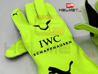Lewis Hamilton 2023 Racing gloves / Team Mercedes F1