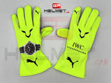 Lewis Hamilton 2023 Racing gloves / Team Mercedes F1